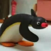 Pingu 🐧 9