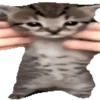 ANIMALITOS 2 🥺😍 8