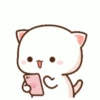 Mochi cat 29