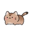 Animasi kucing lucu 13
