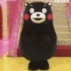 💫 Oso kumamon cute ❣️ 27
