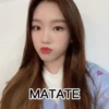Kpop animado 20