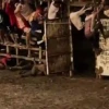 Amor de Corraleja 🇨🇴❤️‍🔥🐂 22