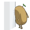 Potato 8