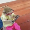 Monitos 19