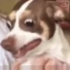 Gifs 1 6
