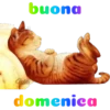 Buongiorno  26