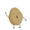 Potato 18