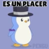 Axy Linda San-Fre 2026 (7) 16