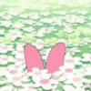 🌷Sanrio 🌷 6