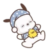 Pochacco,Come On !🐾✨ 24
