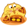 Egg Yolk Cat 2 9