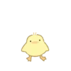 Patos 6 26