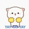 Mochi cat 23