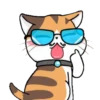 GATITOS - KITTENS 25