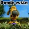 Axy Linda San-Fre 2026 (7) 5