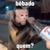 🐒 Macaco | Deboche Sincerão 11