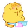 Egg Yolk Cat 2 23