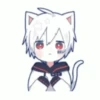 Miau 6