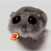 ❦̷ ⃝⃔❤⃪ᭂƘ⃪Cɦeᥲ𝛛ᥲ᬴᭄⃕͜
Hamster 17