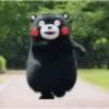 💫 Oso kumamon cute ❣️ 22