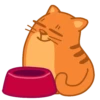 Gatitos🐈 9