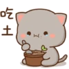 Cute peach goma 23