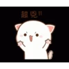 Mochi cat 16