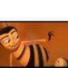 Bee Movie GIFs 22