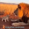 Peleas 3