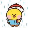 Patos 6 6