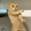 Michis Tóxicos Vol. 1 🐱💣 16