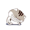 Fat cat 13