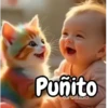 Gatos expresivos random 🐈💬 6
