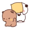 🐼🐻ositos tiernos🥹 5