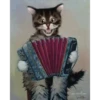 Gatinhos  5