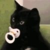 ANIMALITOS 2 🥺😍 17