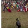 Amor de Corraleja 🇨🇴❤️‍🔥🐂 19