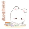 Happy Bunny 8 WX 12