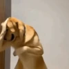 Животные, созданные с помощью ИИ 🐶 5