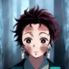 Demon slayer animated 25