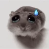 ❦̷ ⃝⃔❤⃪ᭂƘ⃪Cɦeᥲ𝛛ᥲ᬴᭄⃕͜
Hamster 13