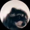 🐱 Fisheye-lens pets 20
