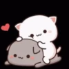 Mochi cat 7
