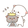 Gatinho apaixonado 2 10