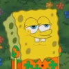 Sponge Bob 7