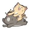 GATITOS - KITTENS 5
