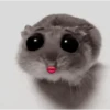 ❦̷ ⃝⃔❤⃪ᭂƘ⃪Cɦeᥲ𝛛ᥲ᬴᭄⃕͜
Hamster 9