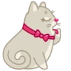 Gatitos🐈 12