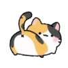 Animasi kucing lucu 3
